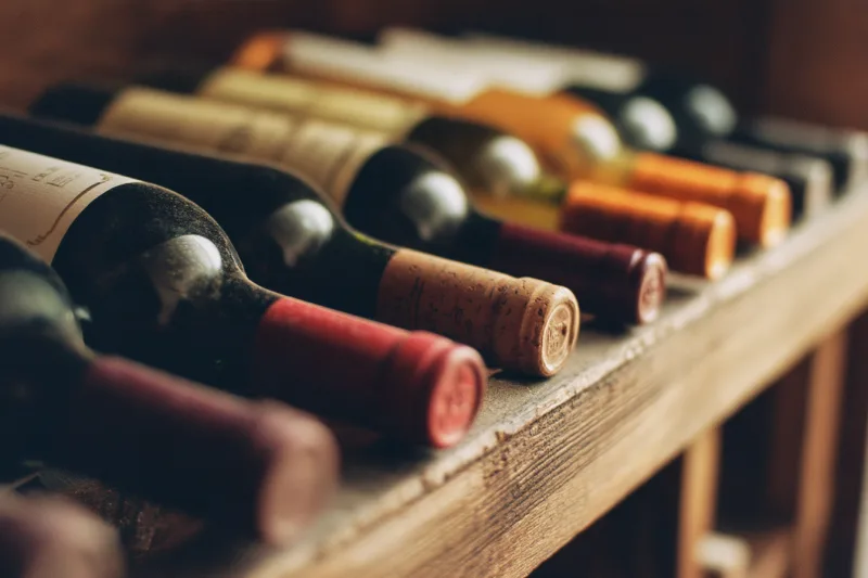 Servir et conserver le vin bio : nos conseils pratiques