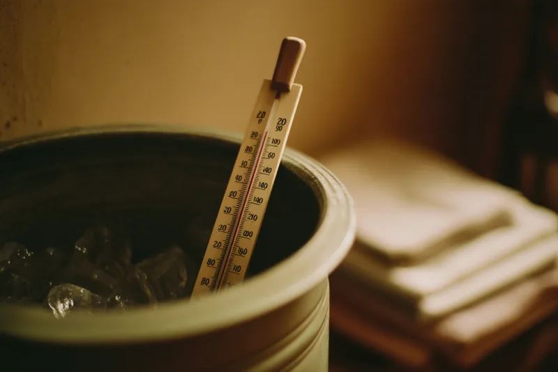Servir un vin bio temperature carafage verre