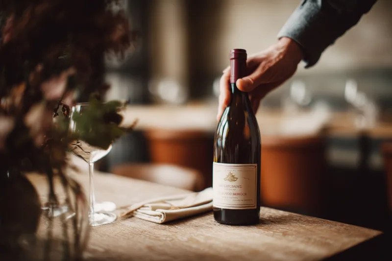 Vin bio et gastronomie : 10 accords parfaits